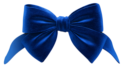 A close-up of a royal blue velvet bow tied, with smooth, soft texture and hanging tails
