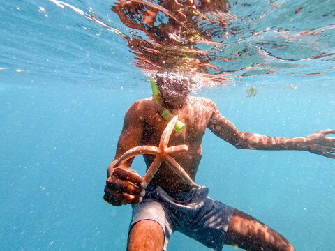 Man snorkeling underwater holding a starfish with sunlight