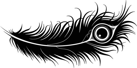Elegant Peacock Feather Illustration