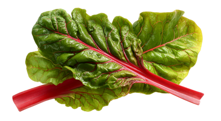 Vibrant close-up of two fresh leafy green vegetables with deep red stems
