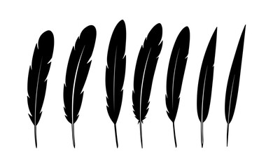 Black Feather Silhouette Set Minimal Bird Quill Illustration