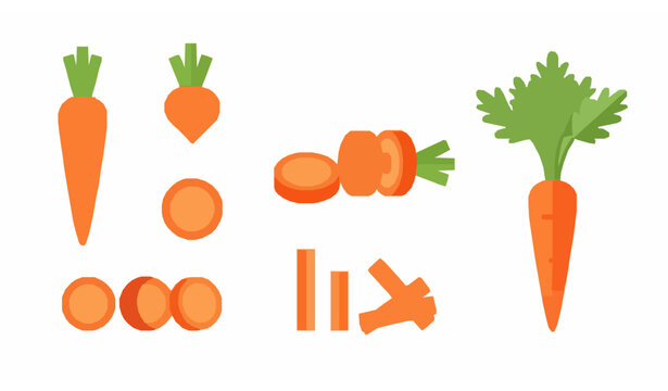 Flat carrot vegetable vector set isolated on white background for healthy food and nutrition design