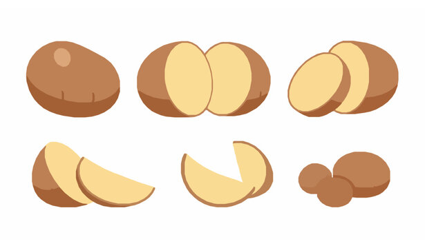Fresh organic potato vegetable vector set isolated on white background for everyday food design