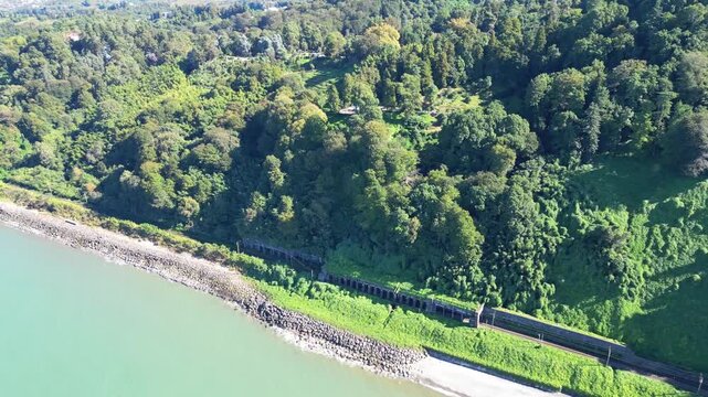 Lush green botanical garden on Black Sea coast in Batumi Georgia. 4K drone footage shows dense evergreen vegetation along a sunny shoreline with vivid colors and calm coastal atmosphere.