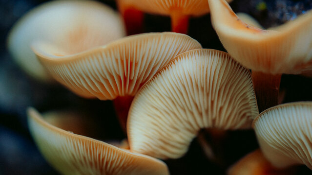 Aerial view of colorful autumn mountain landscape
 - Powered by Adobe