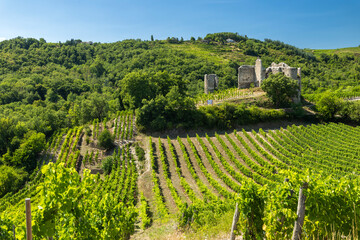 Saint Peray vineyard hills with ancient castle ruins