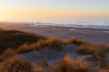 D&uuml;nen am Nordsee Strand von L&oslash;kken