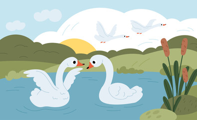 Fototapeta premium Cartoon couple swans on pond. From duckling to swan story, natural landscape with beautiful white pair birds, meeting of kindred, romantic scene for valentine day card, garish vector concept