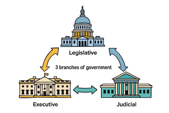 3 Branches of US Government Checks and Balances Infographic Vector