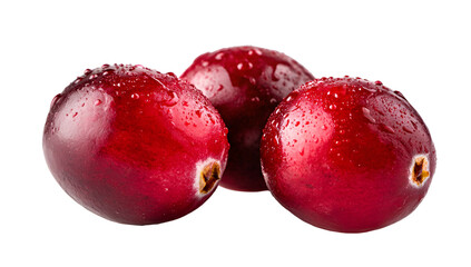 Close-up of three wet, round, shiny, bright red berries with green/tan stems