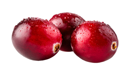 Close-up of three wet, round, shiny, bright red berries with green/tan stems