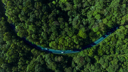 Forest road, road in beautiful autumn forest at sunset, trees with red and orange leaves, Beautiful landscape view from flying drone in Nature, Rainforest ecosystem, electric car driving, EV green,