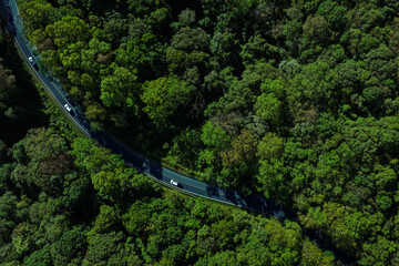 Forest road, road in beautiful autumn forest at sunset, trees with red and orange leaves, Beautiful landscape view from flying drone in Nature, Rainforest ecosystem, electric car driving, EV green,