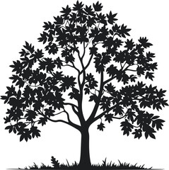 Fototapeta premium A mature broadleaf tree illustrated in black and white vector style, full rounded canopy, clean silhouette, solid black shapes, no gradients, Adobe Stock safe 1