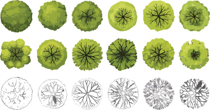 Vector set of colorful tree top view symbols and black outline icons, collection of vegetation rendering for architectural site plans and garden masterplan.