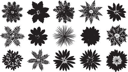 Set of black plant top view silhouettes for landscape design, garden bush and fern symbols for architectural site maps and floor plans. © IKHTIARAHMED