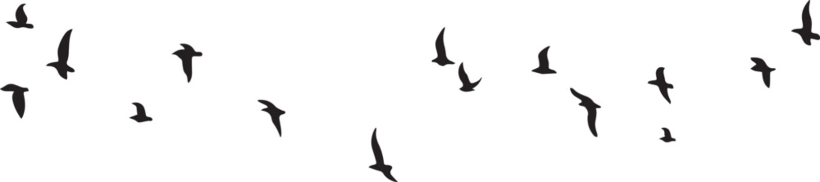 grass silhouette vector