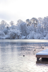 Stadtparksee in Hamburg im Winter