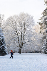 Stadtpark in Hamburg im Winter