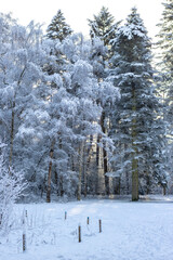 Stadtpark in Hamburg im Winter