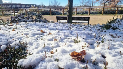 White snow covering ground with brown leaves
