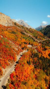 Drone view of autumn forest with vibrant fall colors