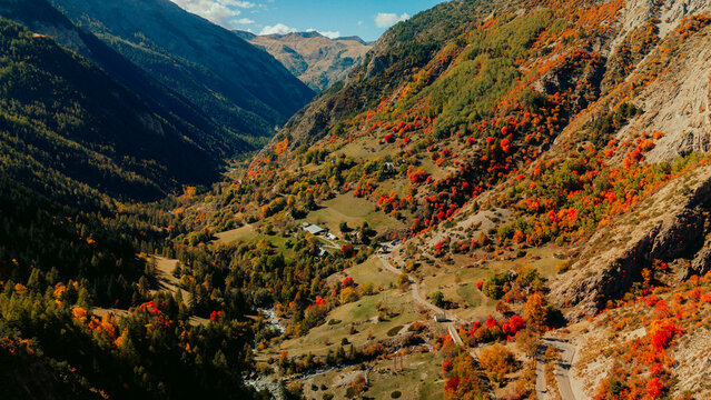 Drone view of autumn forest with vibrant fall colors