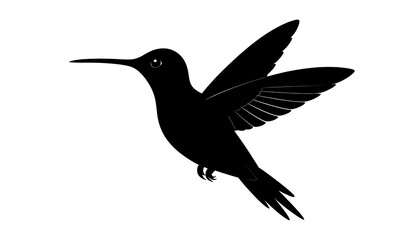 Obraz premium Silhouette of a Hummingbird in Flight.