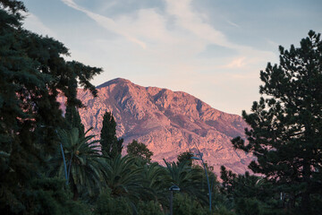 landscape with palm trees and a mountain in the setting sun in the background