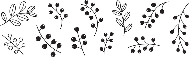 black and white illustration of various berry branches and leaves on white background © MR JOKER
