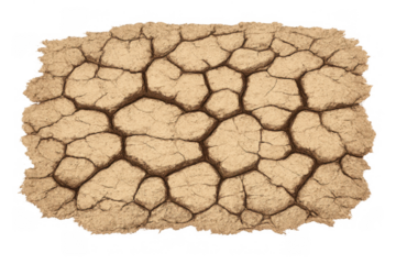 Dry cracked earth texture showing drought, desertification, and climate change with transparent background