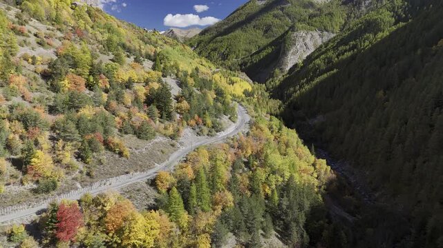 Drone view of autumn forest with vibrant fall colors

