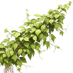 Vibrant green leaves on a dark background