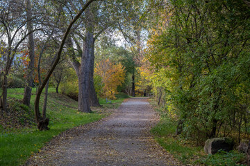 Scenic park path surrounded by colorful autumn trees with golden and green foliage. 