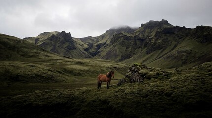 Brown Horse Standing Alone on Grassy Green Mountain Landscape Under Cloudy Sky