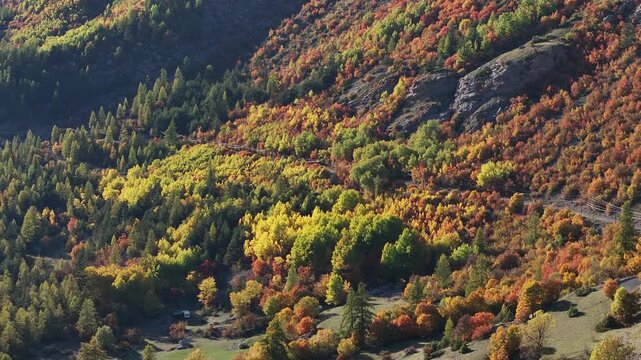 Drone view of autumn forest with vibrant fall colors