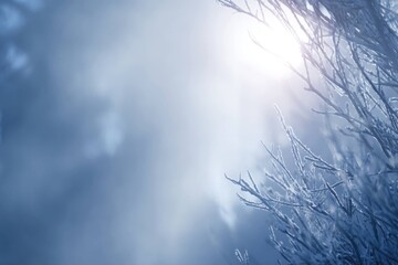 Fantasy Winter Fog with Blurred Horizon