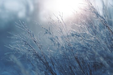 Tranquil Snow Particles in Gentle Light