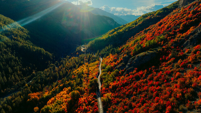 Drone view of autumn forest with vibrant fall colors