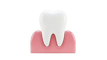 3D Illustration of a Healthy Tooth and Gum