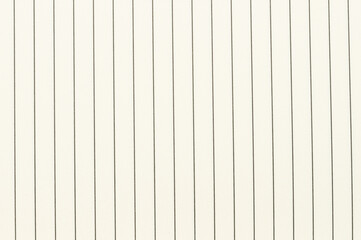 Blank lined paper with vertical lines for writing notes and practicing