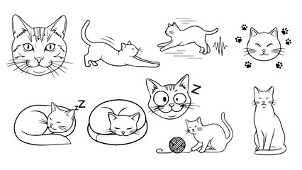 Nine different cat poses isolated on white background, Vector