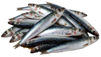 Obraz premium Pile of fresh whole raw sardines or anchovies isolated on transparent background