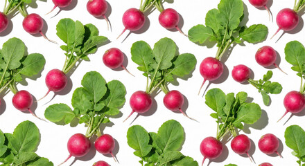 pattern with radishes radish fresh vegetables