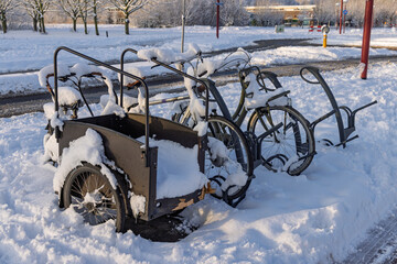 Black cargo bike (bakfiets) and other bicycles parked on a sidewalk completely covered in snow during a severe Dutch winter.