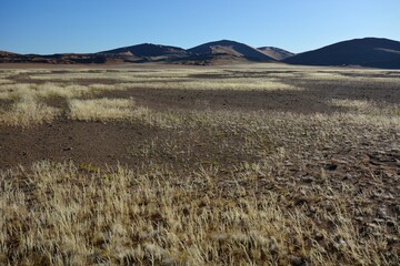 Sandw&uuml;ste im Namib-Naukluft-Nationalpark in Namibia