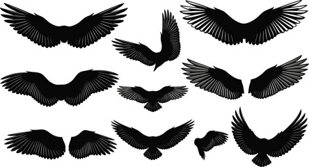 Collection of bird wing silhouettes featuring various spread and flying poses for eagle hawk or angel wings graphic design elements © Santo's World
