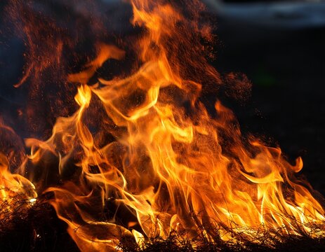 a close up of a fire