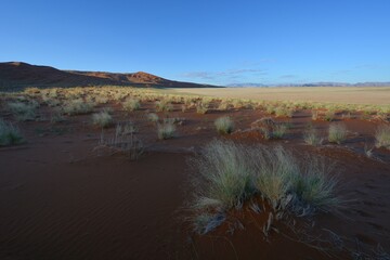 Sandw&uuml;ste im Namib-Naukluft-Nationalpark in Namibia