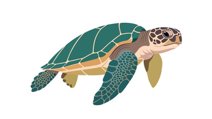 Sea Turtle Illustration - Marine Animal, Ocean Life, Underwater Creature © ellisa_studio
